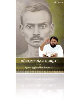 Pravachans on Vachanamrutji (Compiled Set - 2006)