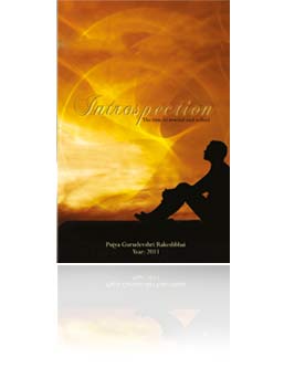 Introspection