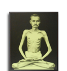 Divine Glow - Shrimad Rajchandraji
