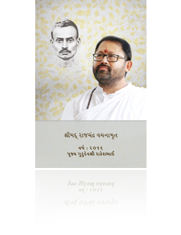 Pravachans on Vachanamrutji (Compiled Set - 2016)
