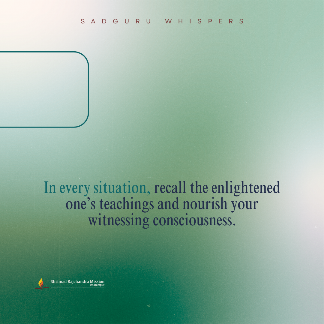 In every situation, recall the enlightened one’s teachings and nourish your witnessing consciousness.