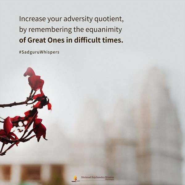 Quotes - Pujya Gurudevshri Rakeshji