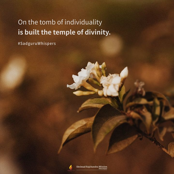 Quotes - Pujya Gurudevshri Rakeshji