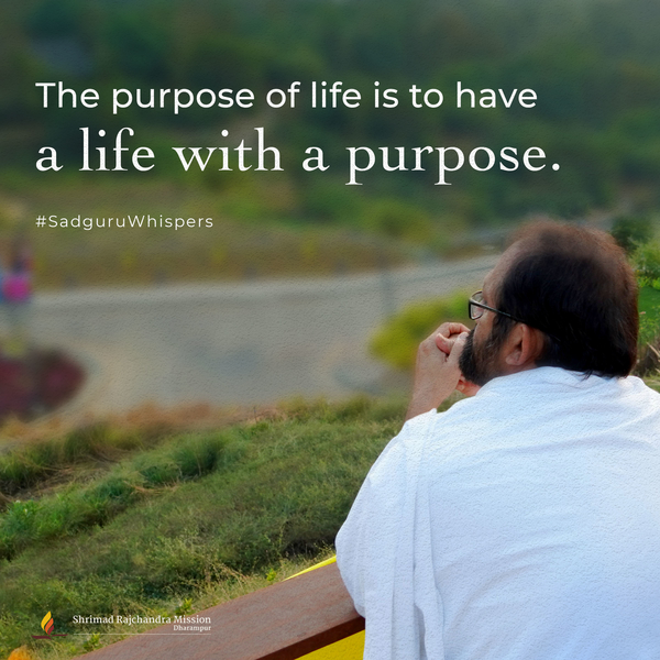The purpose of life is to have a life with a purpose.
