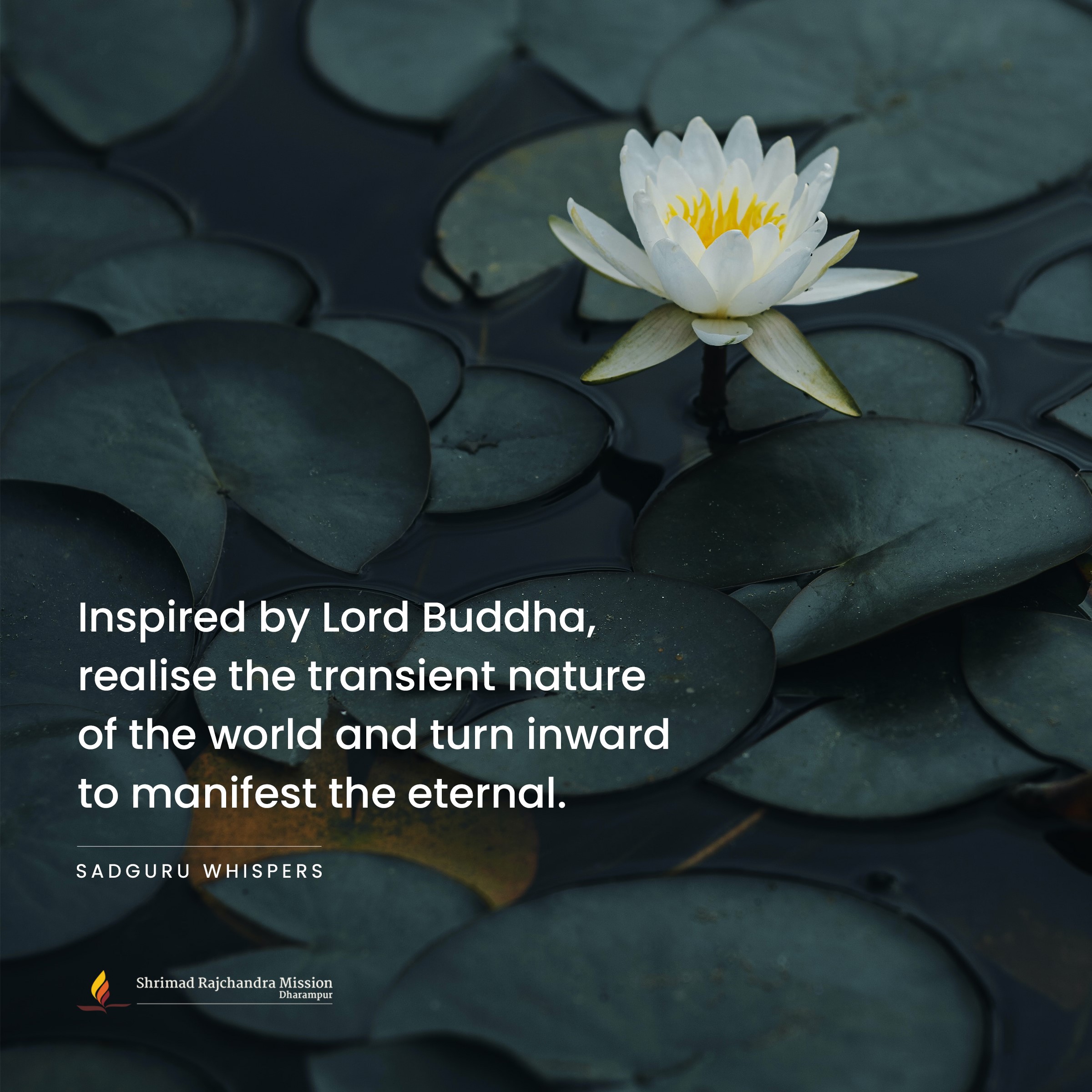 Quotes - Pujya Gurudevshri Rakeshji