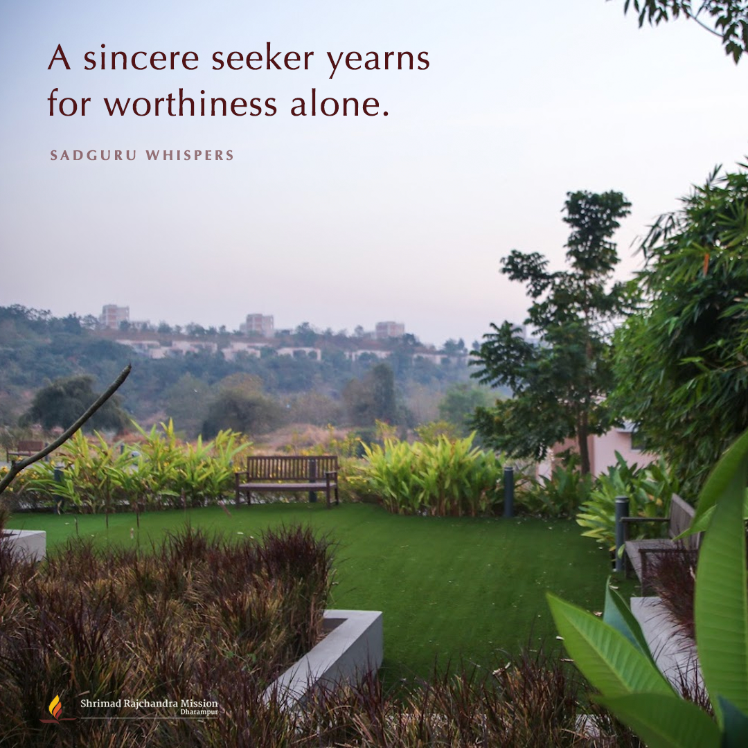 Quotes - Pujya Gurudevshri Rakeshji