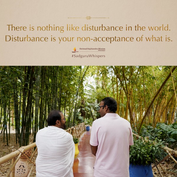 Quotes - Pujya Gurudevshri Rakeshji