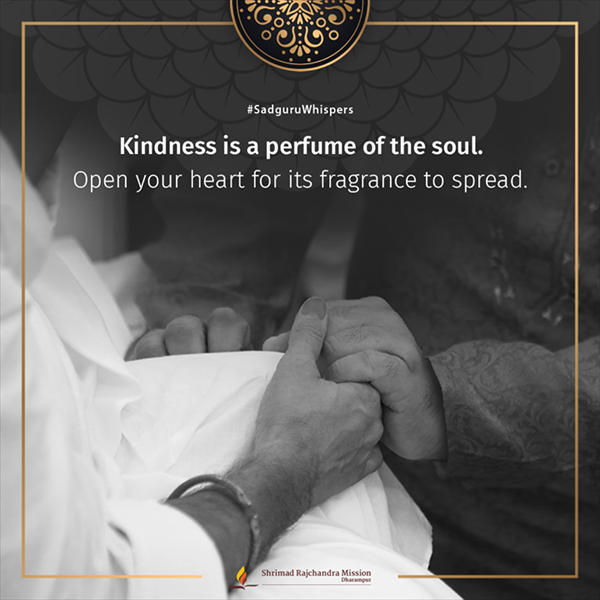 Quotes - Pujya Gurudevshri Rakeshji