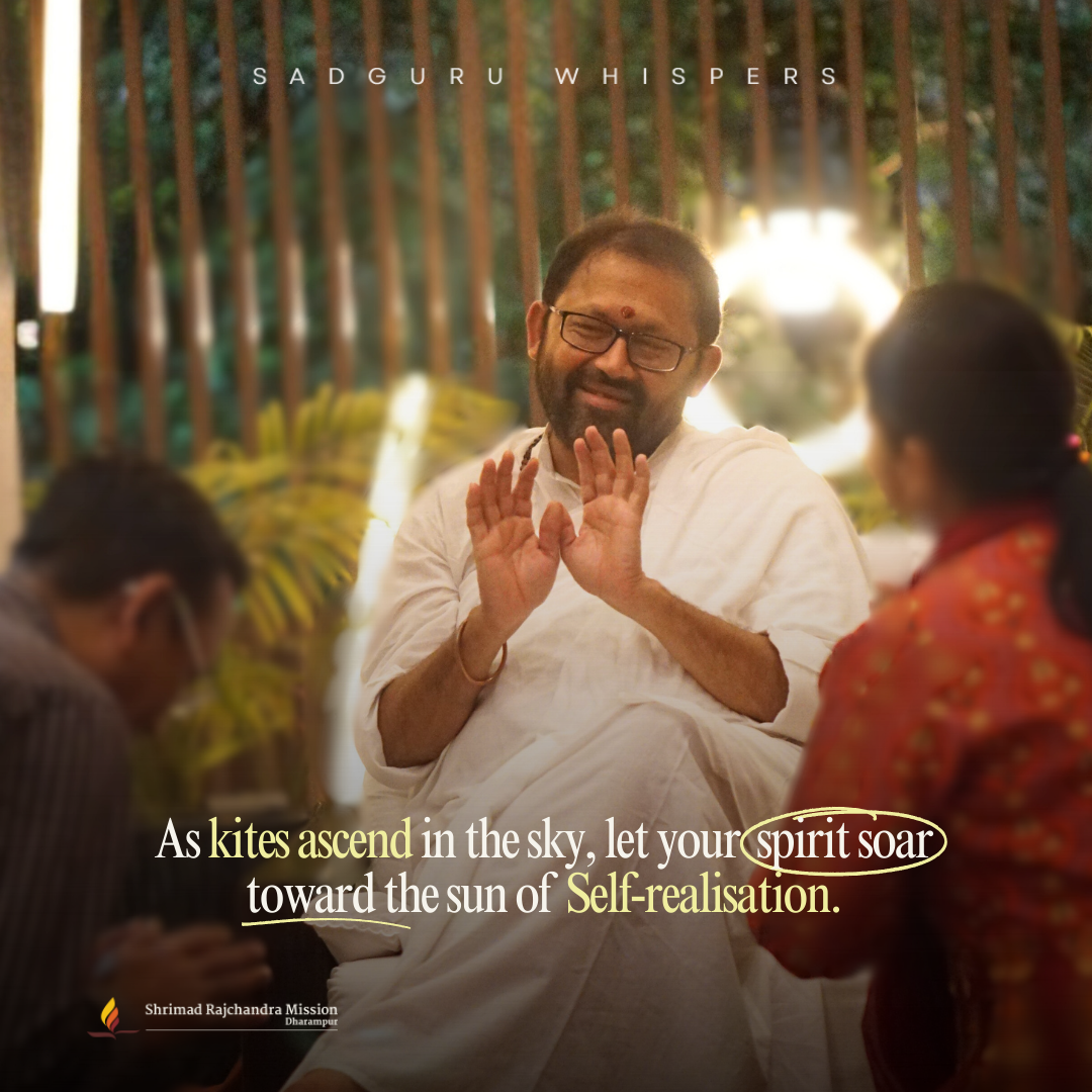 As kites ascend in the sky, let your spirit soar toward the sun of Self-realisation.