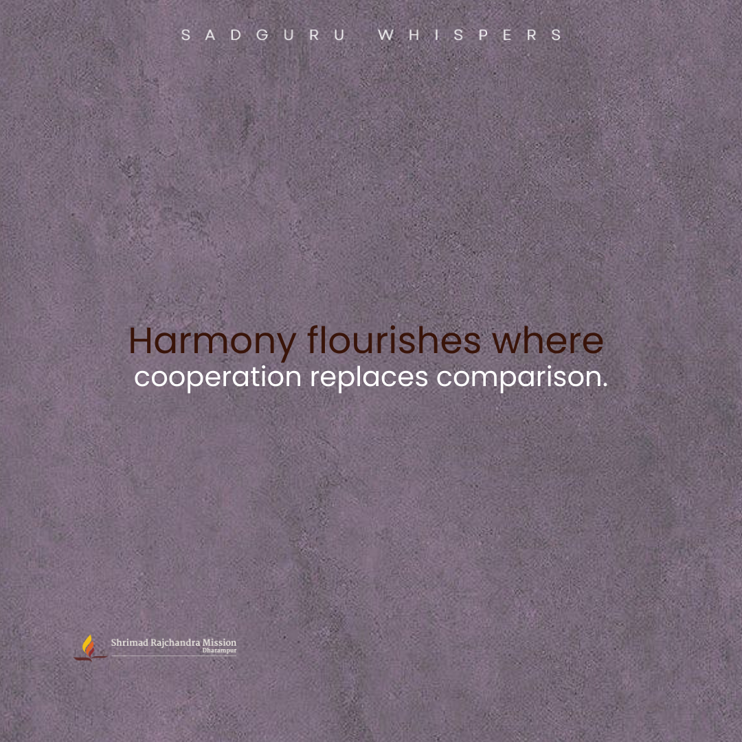 Harmony flourishes where cooperation replaces comparison.