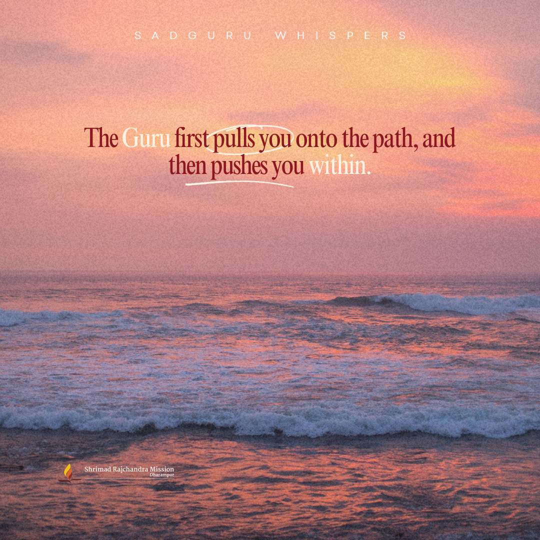 The Guru first pulls you onto the path, and then pushes you within.