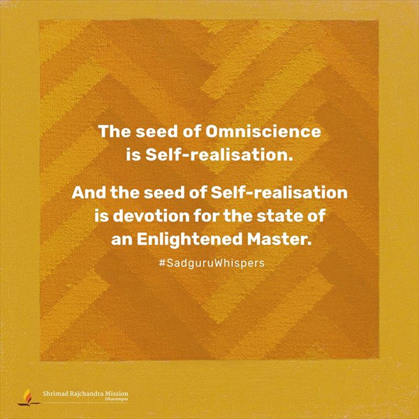 Quotes - Pujya Gurudevshri Rakeshji
