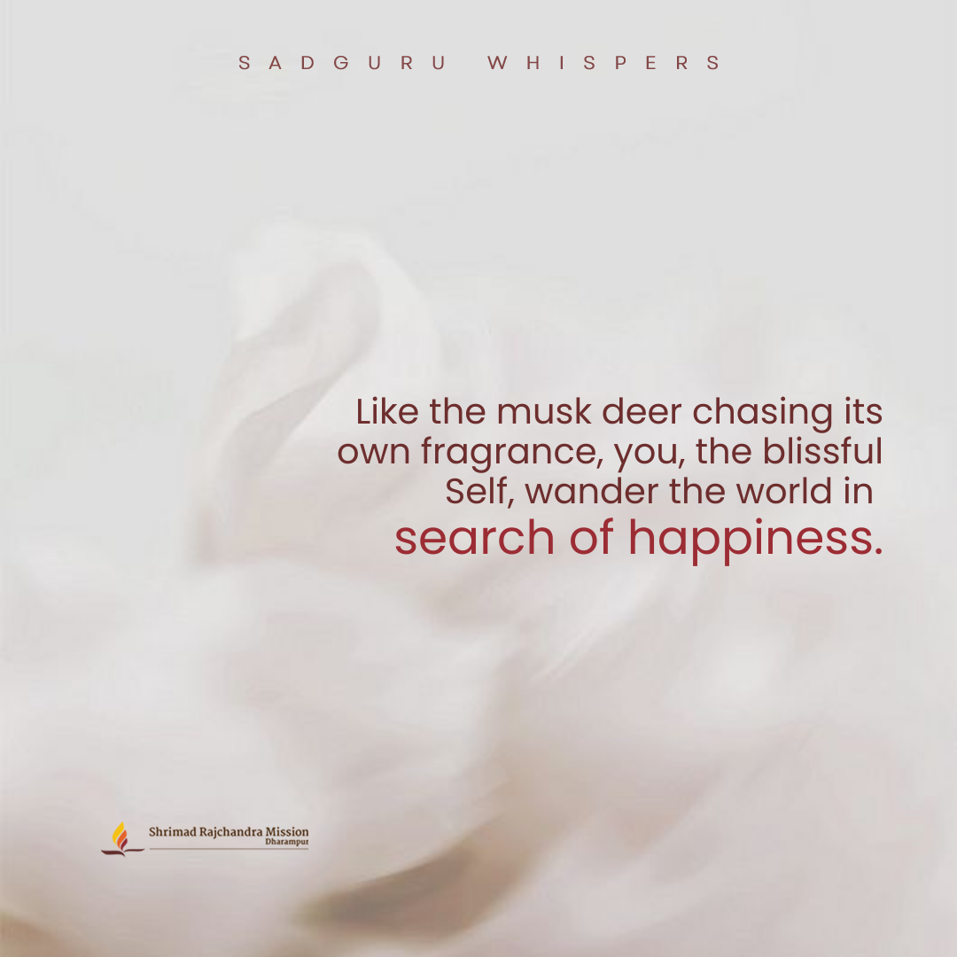Like the musk deer, you - the blissful Self, seek happiness outside.