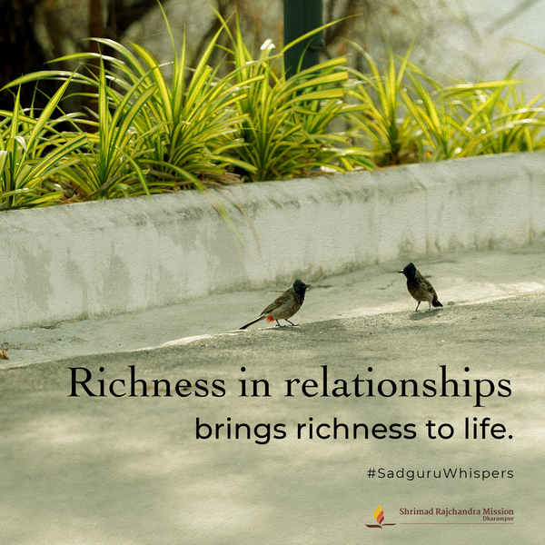 Quotes - Pujya Gurudevshri Rakeshji