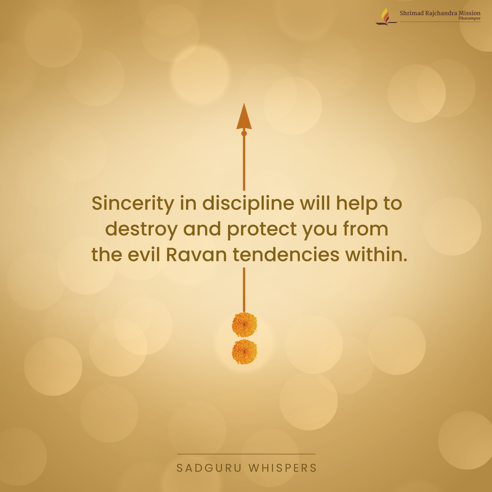 Quotes - Pujya Gurudevshri Rakeshji