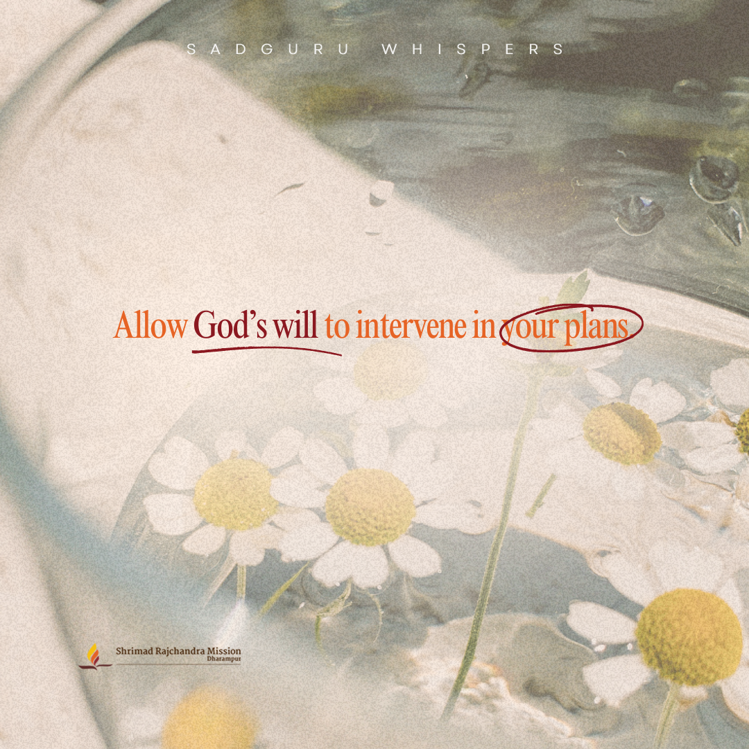 Allow God’s will to intervene in your plans.