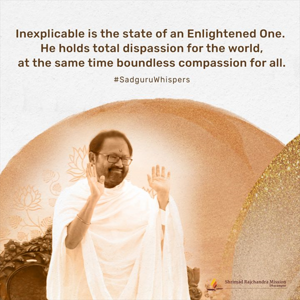 Quotes - Pujya Gurudevshri Rakeshji