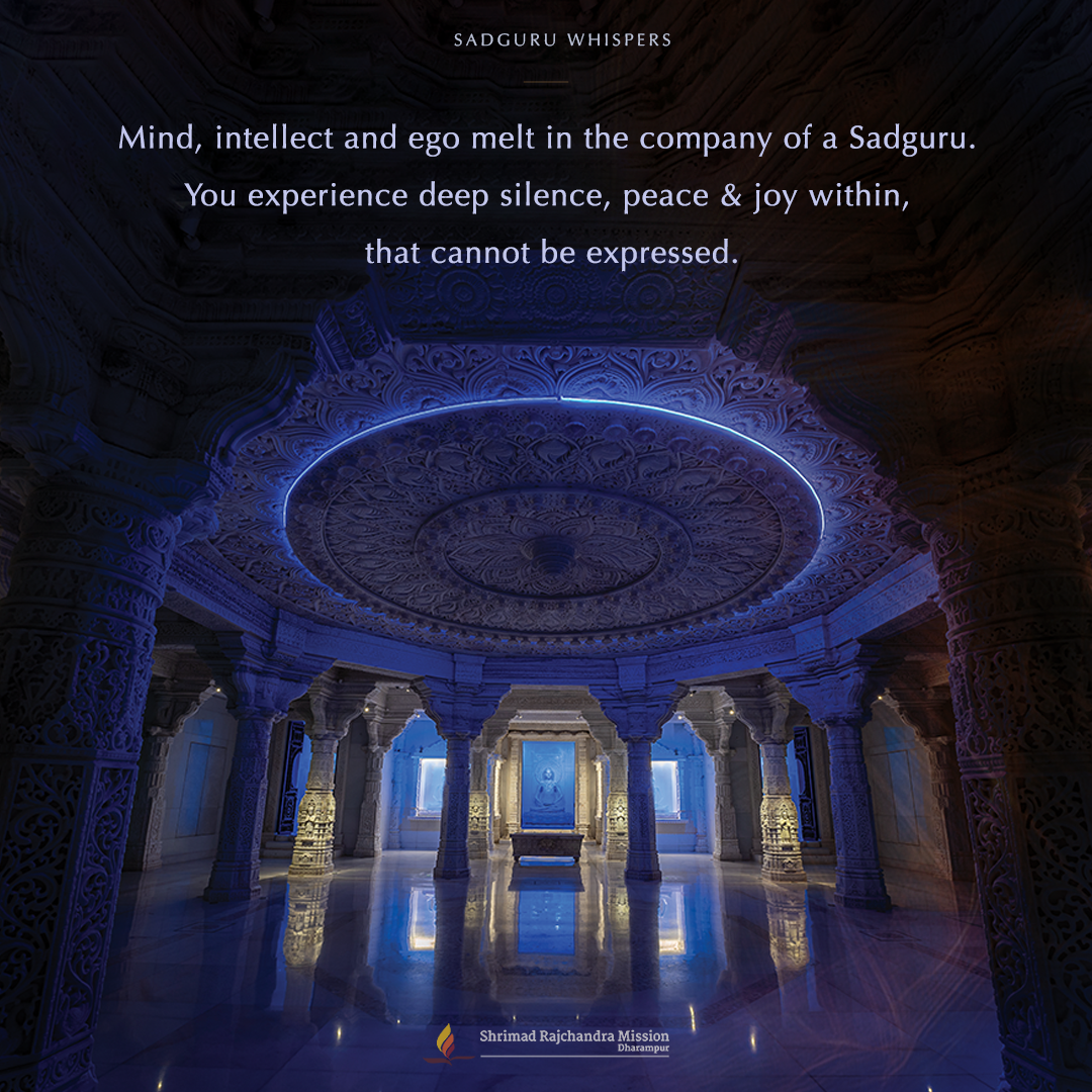 Mind, intellect and ego melt in the company of a Sadguru. You experience deep silence, peace & joy within, that cannot be expressed.