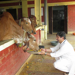 Comida para 10 animales