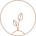 Ankuram Dhyan Diksha