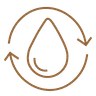 Menstrual cycle