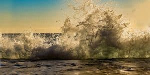 The Roaring Sea of Ego