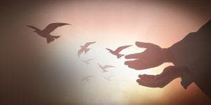 Release Yourself in Forgiveness