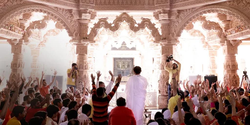 5 Learnings from Dharma