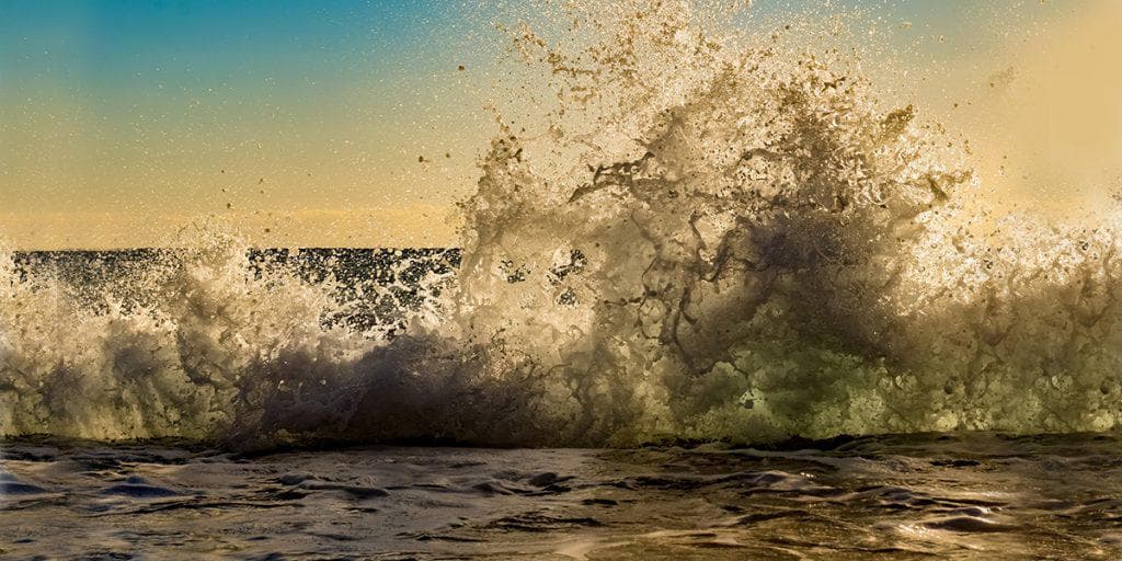 The Roaring Sea of Ego