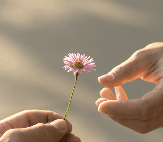 Cultivating Gratitude
