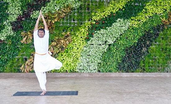 Yoga in Dharampur Town