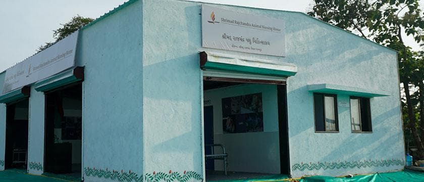 Shrimad Rajchandra Animal Nursing Home