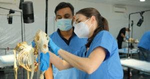 A National Platform for Veterinary Upskilling