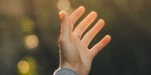 Today you have given