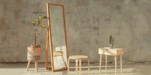 The Mirror Exercise