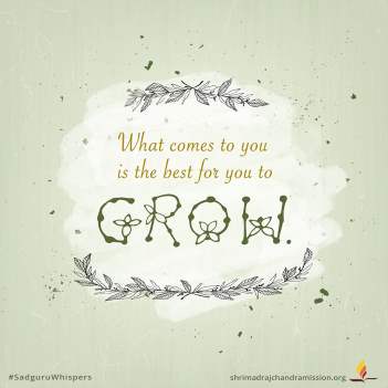 What comes to you is the best for you to grow.