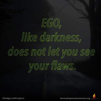 El ego, como la oscuridad, no te permite ver tus defectos.