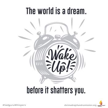 The world is a dream. Wake up before it shatters you.