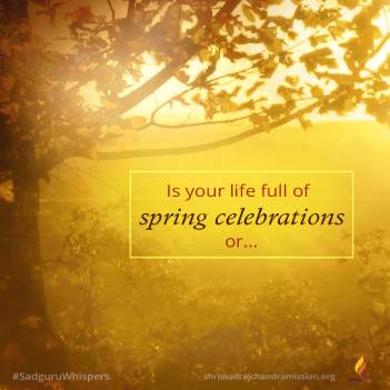 ¿Tu vida está llena de celebraciones primaverales o de la fulminante tristeza del otoño?