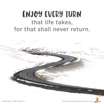 Enjoy every turn that life takes, for that shall never return.