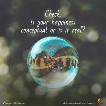 Check, is your happiness conceptual or is it real?