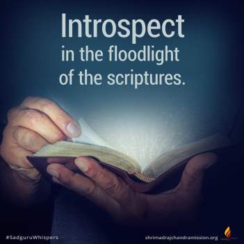 Introspect in the floodlight of the scriptures.