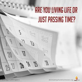 Are you living life or just passing time?