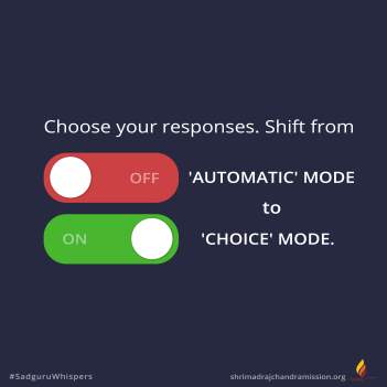 Choose your responses.Shift from 'automatic' mode to 'choice' mode.