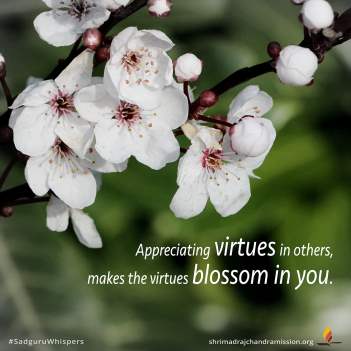 Appreciating virtues in others, makes the virtues blossom in you.