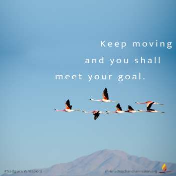 Keep moving and you shall meet your goal.