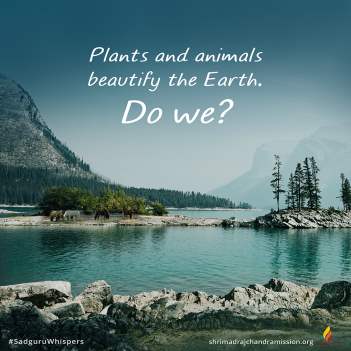 Plants and animals beautify the Earth. Do we?