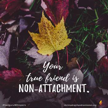 Your true friend is non-attachment.