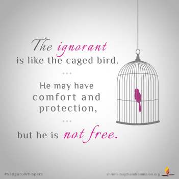 The ignorant is like the caged bird. He may have comfort and protection, but he is not free.