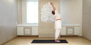 Klassisches Surya Namaskara